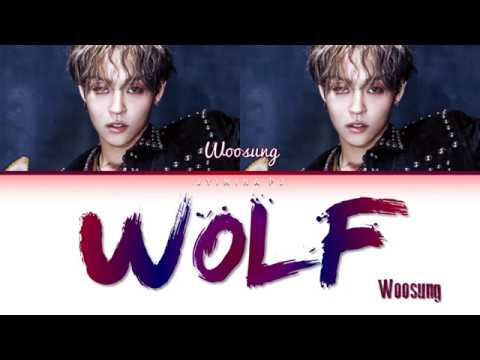 THE ROSE ウソン　WOLF Unboxing KIM WOOSUNG (THE ROSE) 