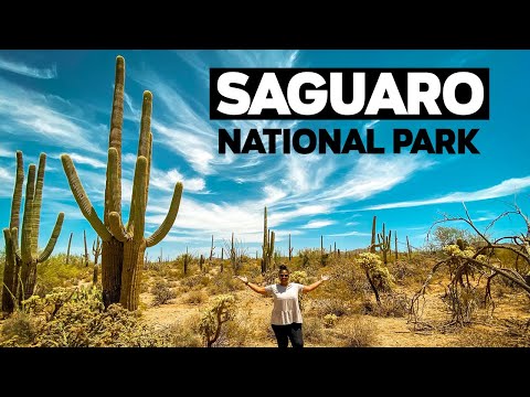 Video: Taman Negara Saguaro: Panduan Lengkap