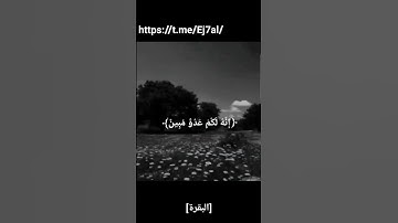 من سورة البقرة للقارئ أحمد خضر.... قناة ألوان الطيف السبعة