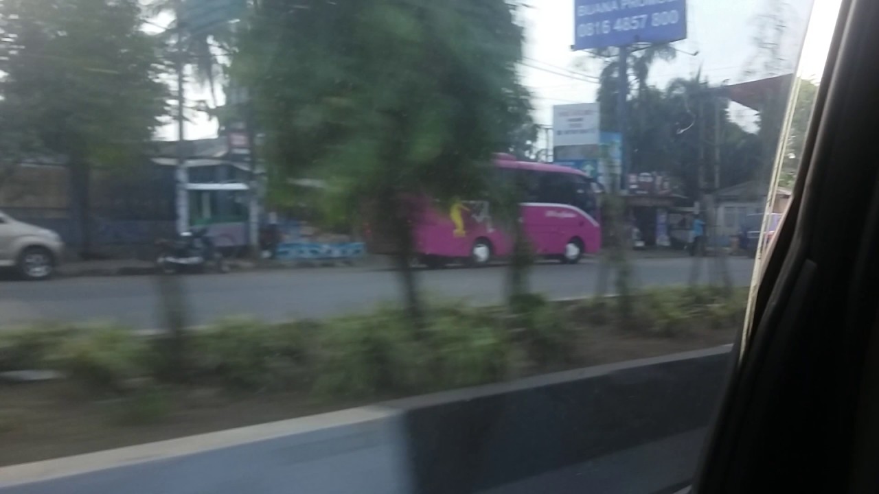 Wong Kudus: Lebih dari Sekedar Bus Pariwisata, Sebuah Legenda di Jalan Raya