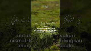 Doa agar senantiasa bersyukur | Doa Nabi Sulaiman #tadabburquran