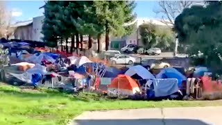 A homeless encampment off highway 1 as it enters santa cruz has
exploded in size the past few weeks and law enforcement can't legally
kick squatters t...