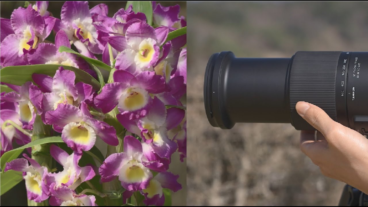 タムロン 150-500mm F5-6.7 (Model A057) ズームリング回転角75° - YouTube