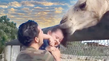 TRY NOT TO LAUGH - Baby At the Zoo - Funny Baby Video Compilation 2020