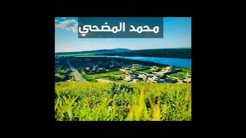 القارئ محمد المضحي الجبوري سورة الاسراء