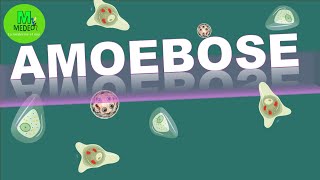 AMOEBOSE / ENTAMOEBOSE: cours de parasitologie médicale