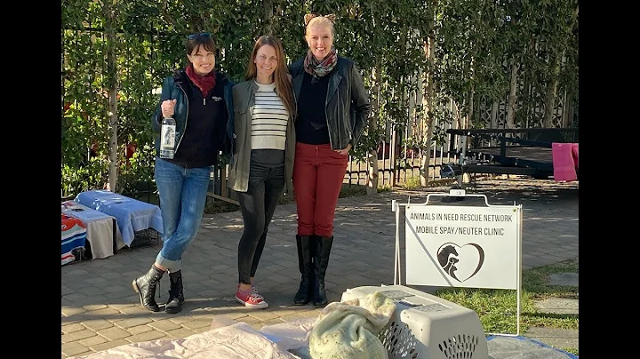 November Spay and Neuter Clinic