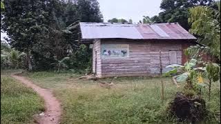 Jalan Keliling Desa Talang Bungin Banyuasin Sumatera Selatan | Suasana Pedesaan | Walk Village