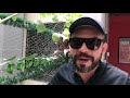 Capture de la vidéo Alejandro Franco Entrevista - Documental Rodrigo Y Gabriela