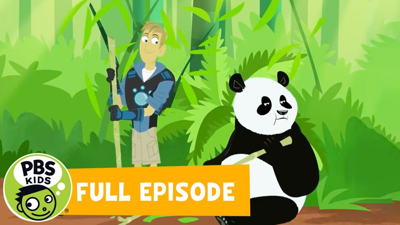Wild Kratts FULL EPISODE | 🐼 Panda Power Up! 🐼| PBS KIDS
