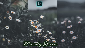 MOODY DARK GREEN PRESET  | FLOWER MOODY GREEN PRESET | LIGHTROOM MOBILE TUTORIAL