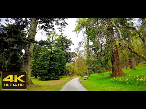 Crathes Castle Parkland Walk, Scotland Countryside 4K