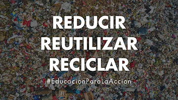 ¿Cuáles son las 3 E del medio ambiente?