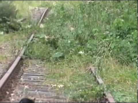 PRN-railfilm: IJmuider vislijntje (2007) I