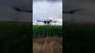 Brazil 10L Working Stability Drones For Agriculture, Crop Dusting Helicopter Drone For Weed Resimi