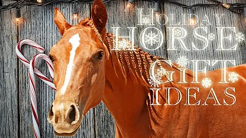 Holiday HORSE Gift Ideas
