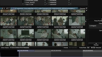 FLUX Manage for Baselight and Daylight 5 0