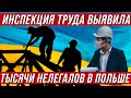 В Польше инспекция труда выявила тысячи нелегалов