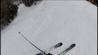 Whiteface Mountain Steeps, Glades, Double Diamonds, + More