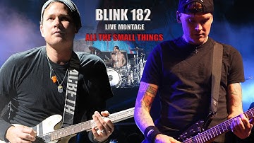 Blink 182 - All The Small Things [LIVE MONTAGE] (1999-2015)