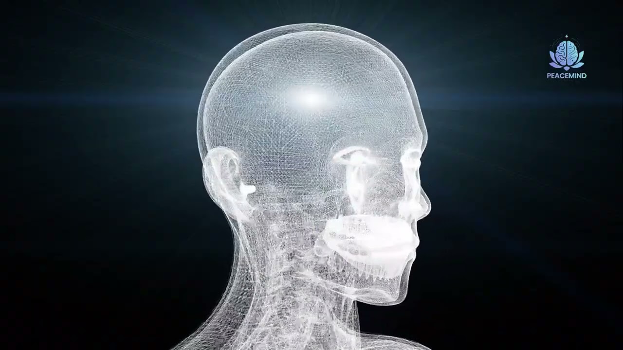 Consciousness – Is it the Brain or the Soul?
