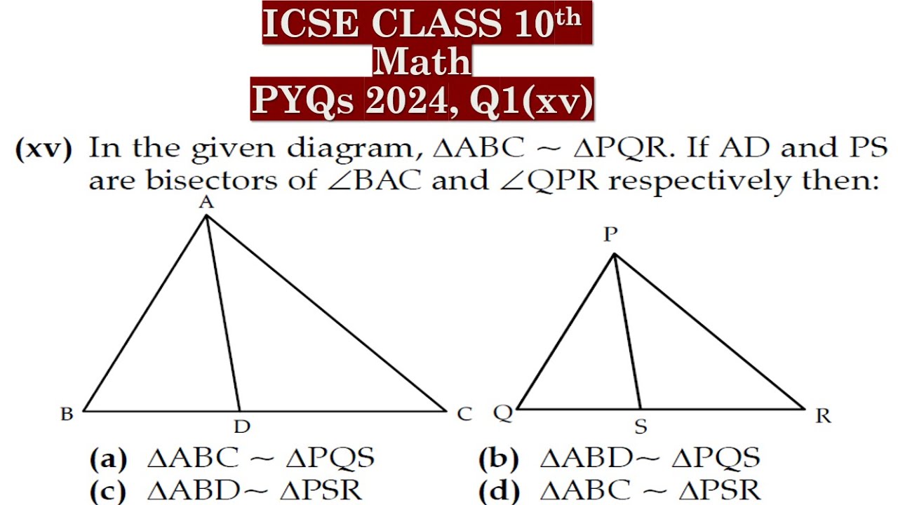 Icse Math Pyq Class 10th Math | Answer Key 2024 | ICSE Board PYQ 2024 | Q1(xv) - YouTube