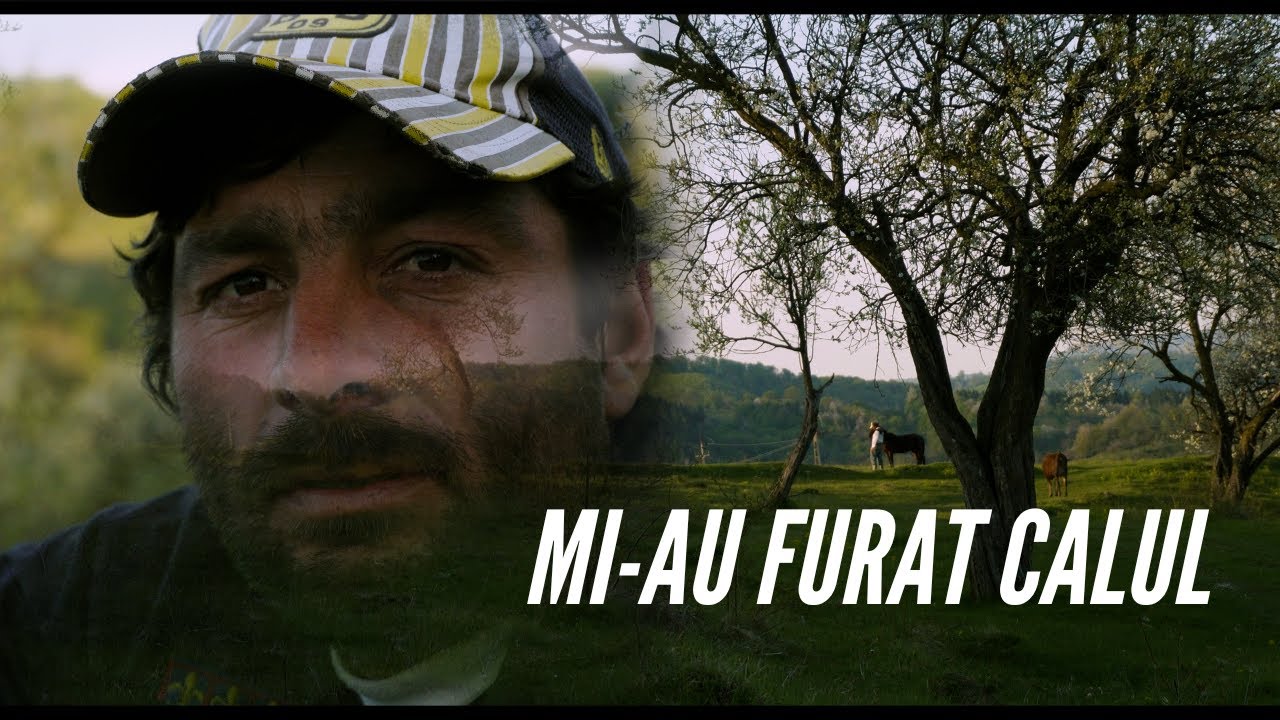 Mi-au furat calul