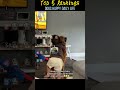 Dogs happy daily life #funny #funnyprank #funnymoments #silly #comedy #fun #memes #prank #cute
