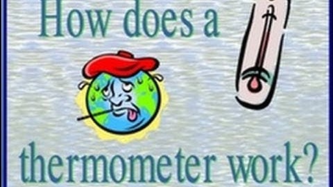 How Thermometer Works-Lesson for Kids-School Education Video