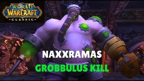WoW Classic - Grobbulus Kill | Naxxramas | Holy Paladin