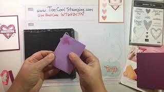 Too Cool Stamping FB LIVE   January 24 2019