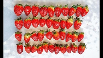 Producing strawberries with 35C and 15% RH outside using retractable cooling roofs plus Vifra fog.