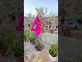 Aaj to mene jadui water se kite bana li #shorts #vlogs #viral #kite