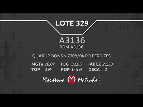 LOTE 329 Maratona Matinha