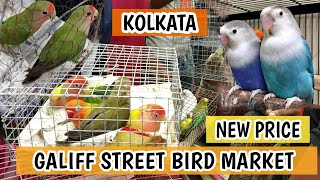 Galiff Street Bird Market Kolkata । Lovebird Price At Galiff Street । Pets Vlogger by Pets Vlogger 90 views 1 year ago 41 seconds