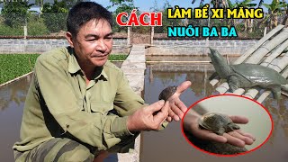 Nuôi Ba Ba Trong Bể Xi Măng Mô Hình Mới Đem Lại Thu Nhập Cao