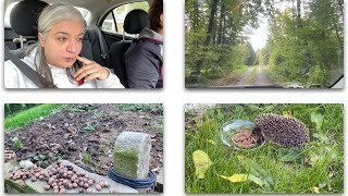Bahcemizde Kalici Misafir - Kayinvaldem'den güzel bir Jest - Kan Lekeleri kimden geliyor?