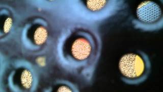 WP 20150904 008