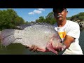 Pesca de tilapias gigantes con línea de mano y un bagre