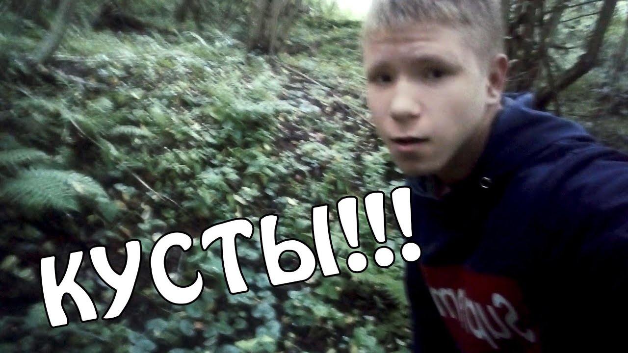 КУДА ЗАШЛИ?!/DZ 6