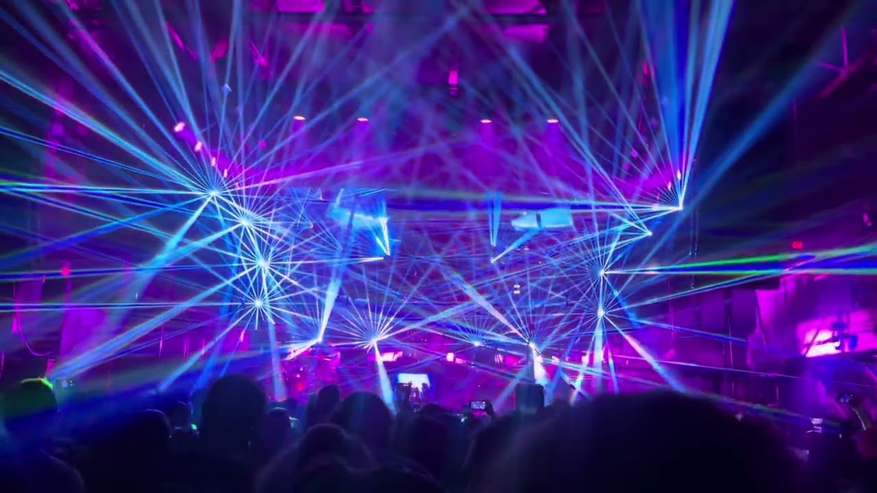 Yellow Bird - Pretty Lights Live Band