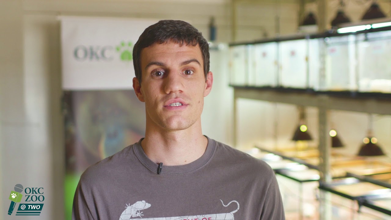 OKC Zoo @ Two: Lizard Lab - YouTube