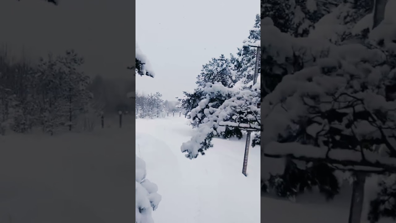 Winter Estonia Tallinn 