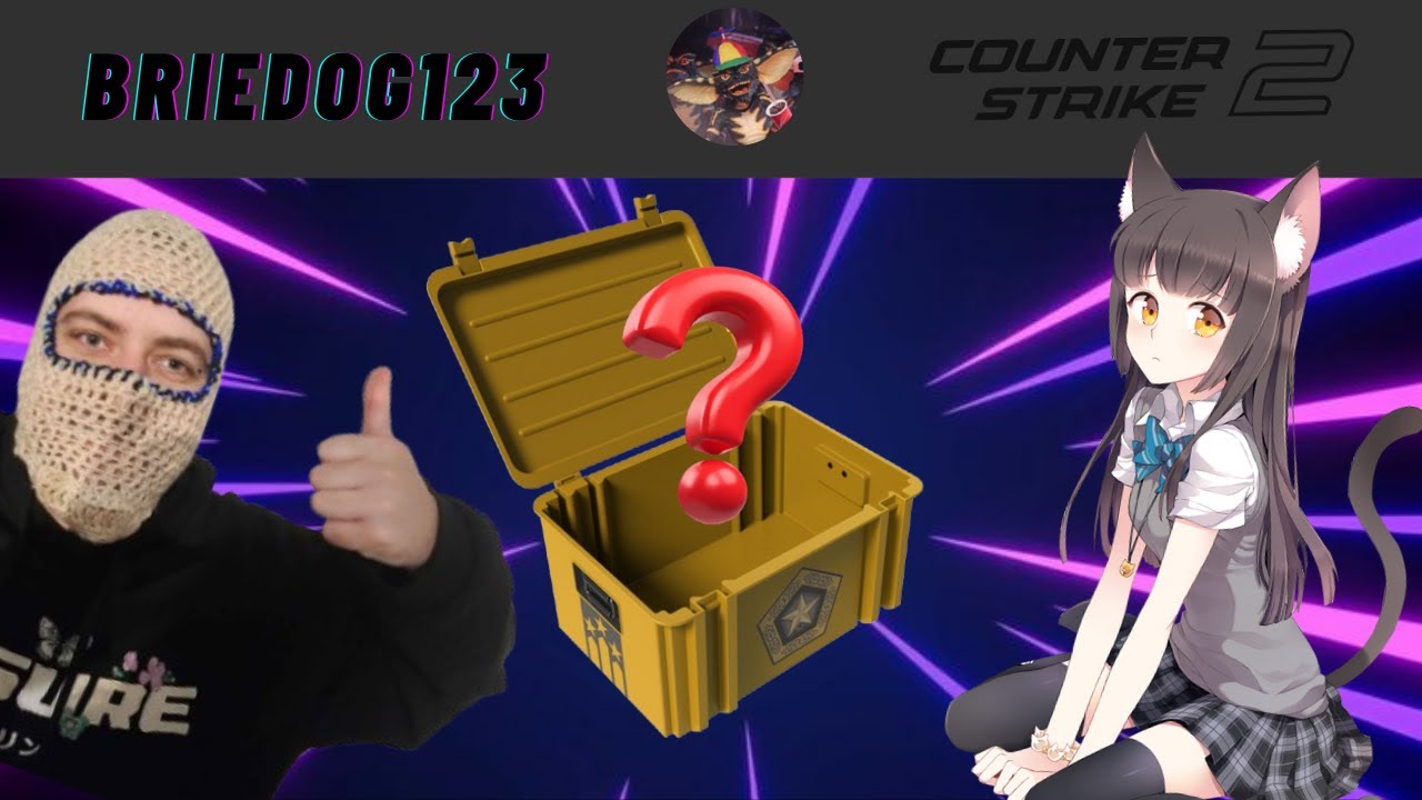 COUNTER STRIKE 2 ⚡ #1 TOP FRAGGER ⚡ BOT DESTROYER ⚡ CERTIFIED PROFIT