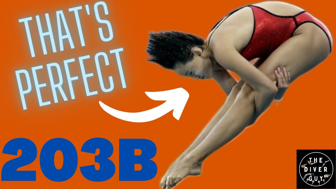 How To Do Back 1.5 Pike | 203B