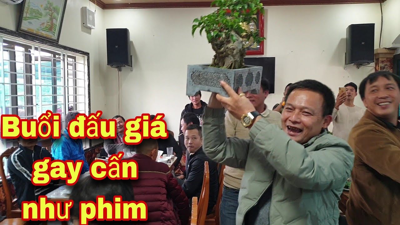 Buổi đấu giá cafe BONSAI gay cấn như phim hành động của cafe BONSAI Gia