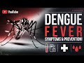 Dengue Fever Cases Exploding: Here's What to Do