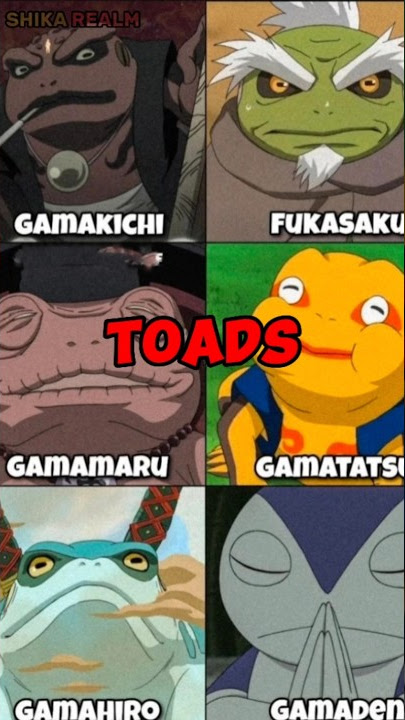 🐸 TOADS Names Secret 🌟