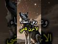 حكم وأقوال ملهمه عن واقع الحياة حياة حكم أقوال  إلهام تحفيز نصائح حياتية