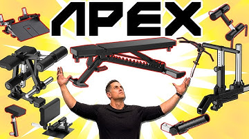 The Bench That Could Replace Your Gym